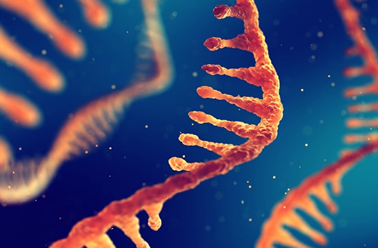 DNA序列：生物学的基石